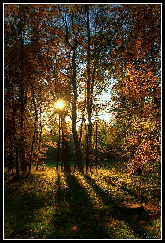 ОСЕНЬ ЛАСКОВОЙ НЯНЕЙ УБАЮКАЕТ ЛЕТО