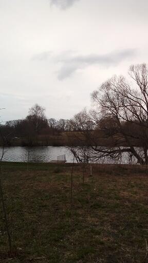 В заповеднике бытия