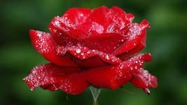 Если беда шагнёт на порог.