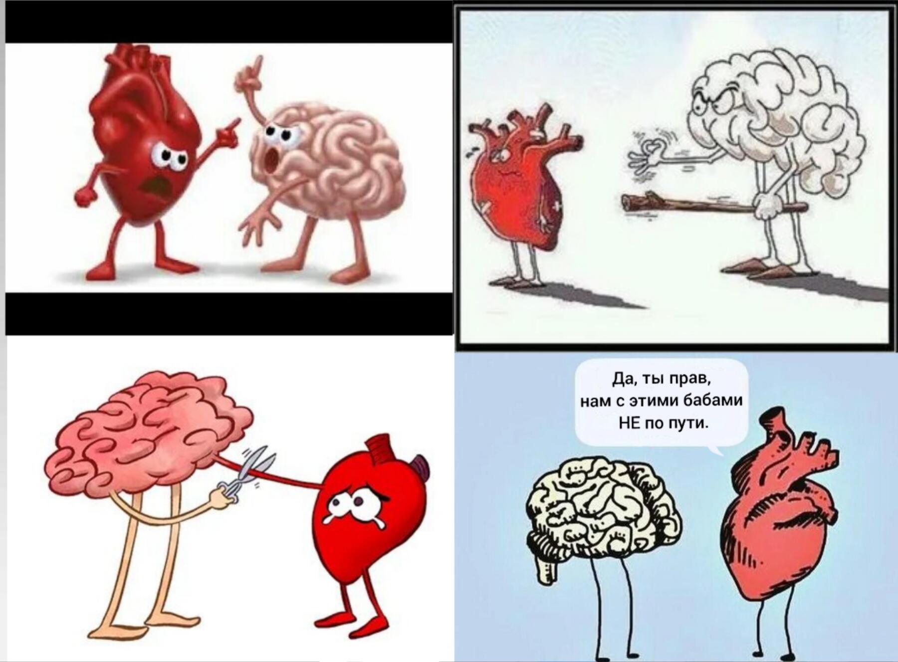 Ум важнее чувств