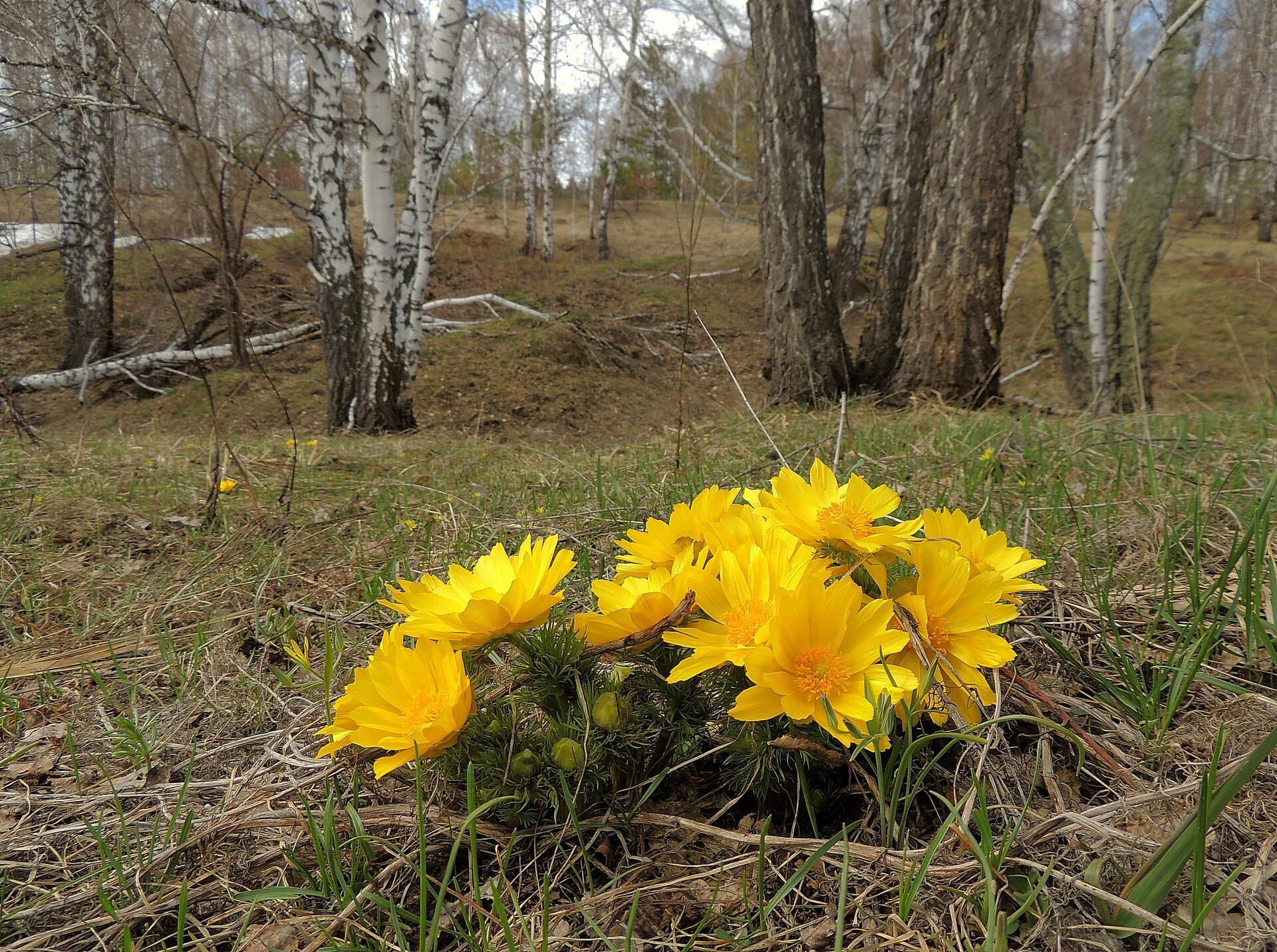 Подарок