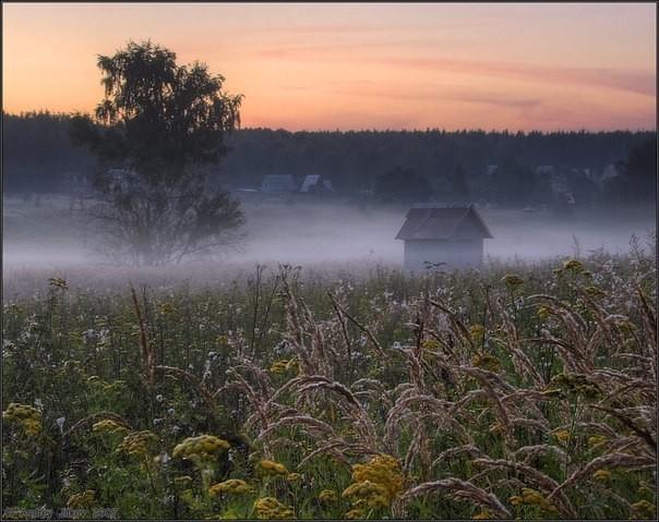 Выхожу на станции. Морось и туман...