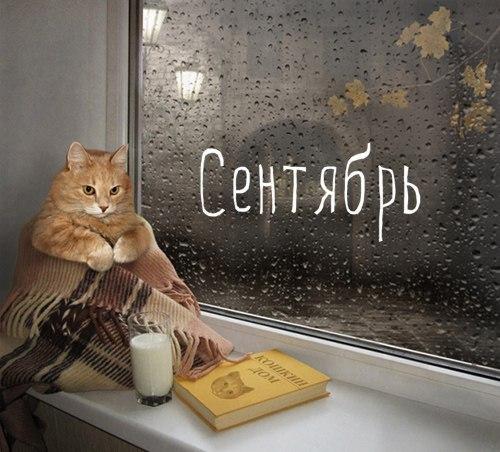 Васька и Осень