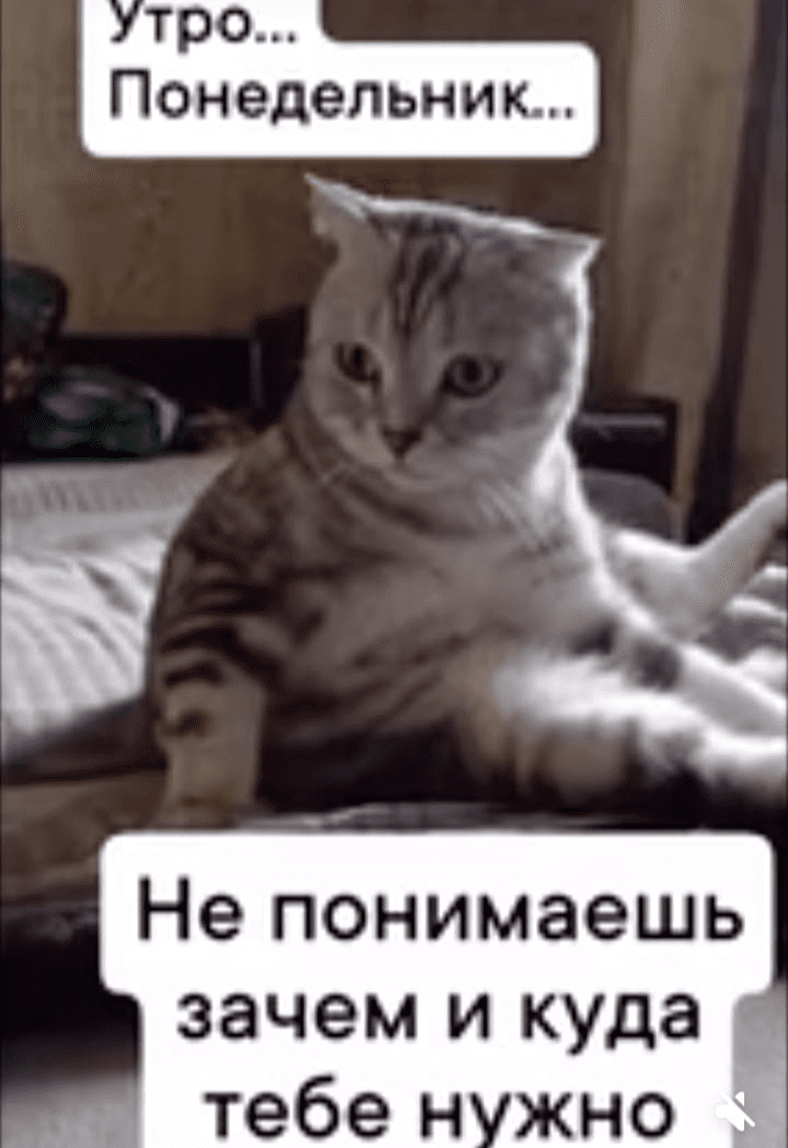 Понедельник