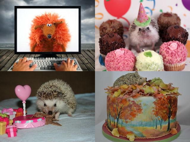 С ДНЁМ РОЖДЕНИЯ, ЕЛЕНА !!!