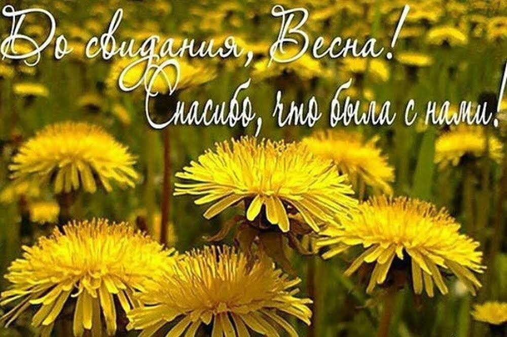 ❤️  УХОДИТ  МАЙ