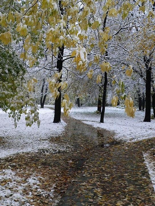 "Осенний снег" (01.11.2016)