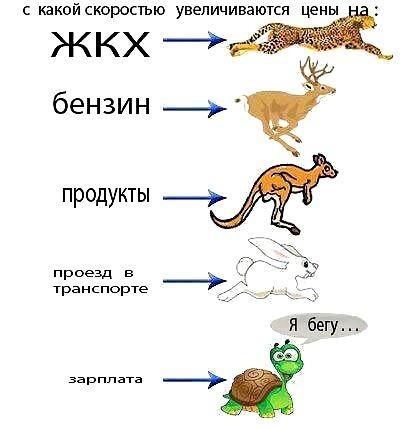На злобу дня