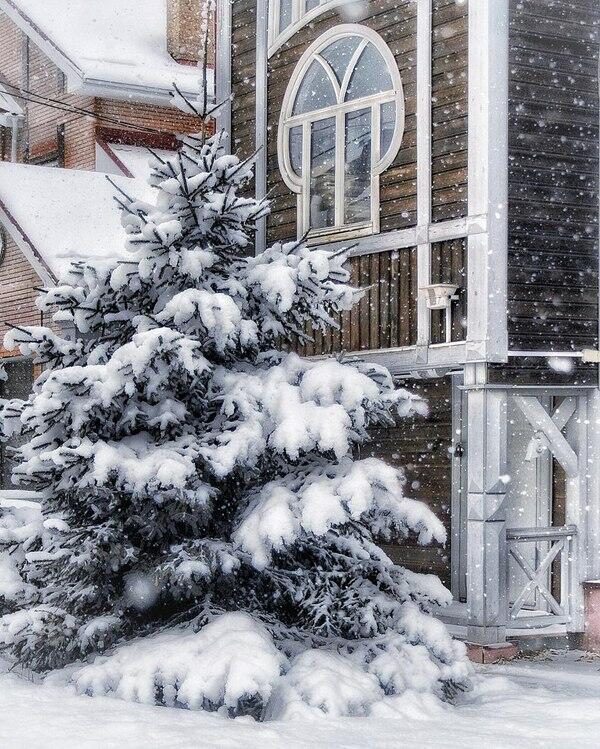 Торжество Зимы...