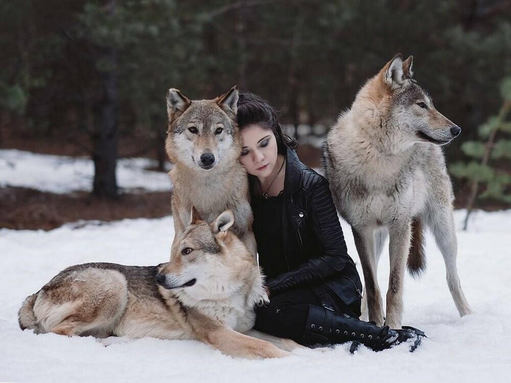 Люди и волки
