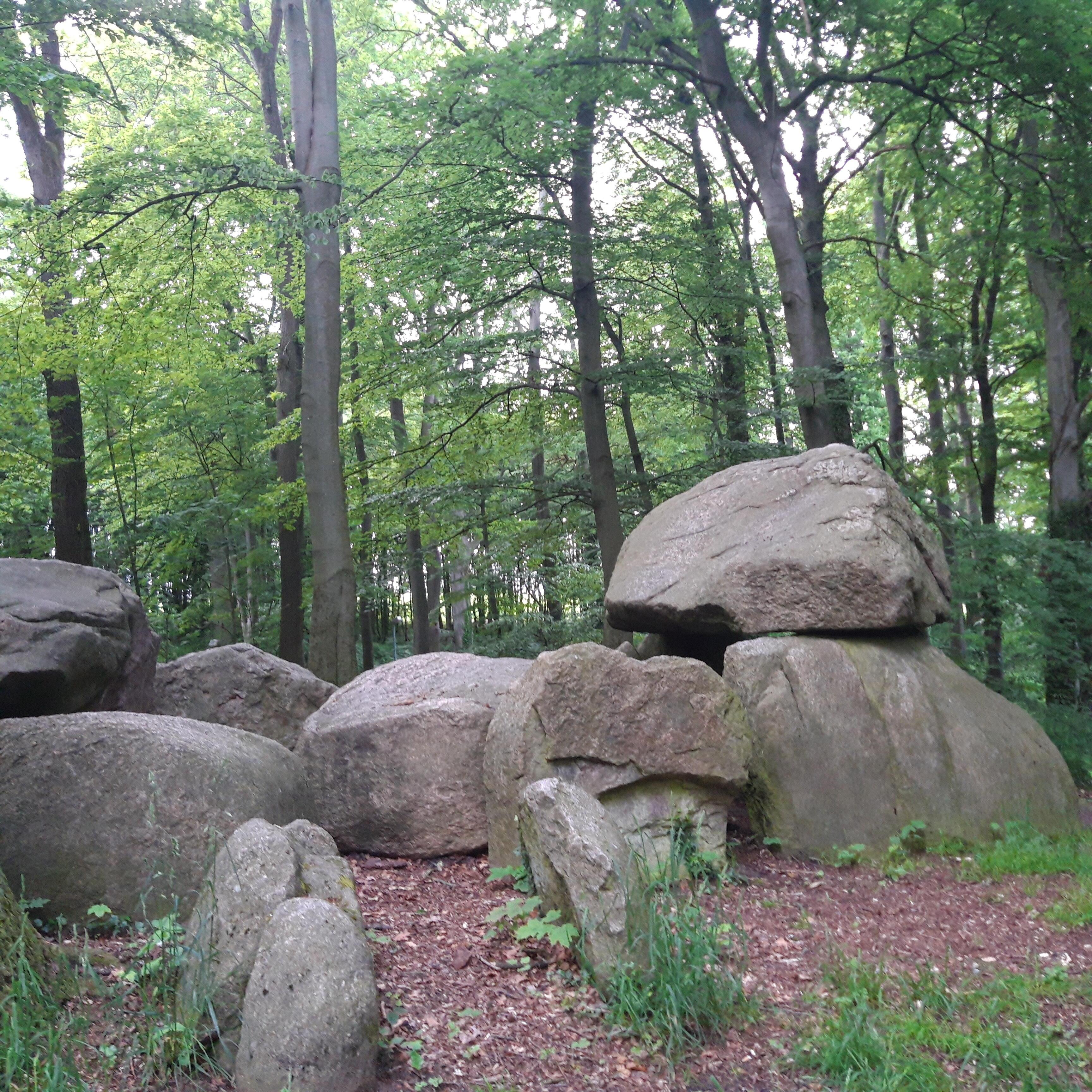 Крылья расправив