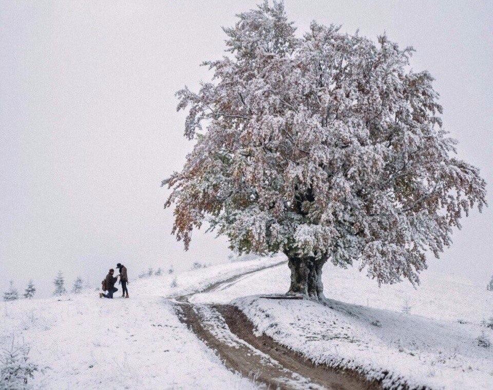 "Хоть кроху любви" (01.01.2018)