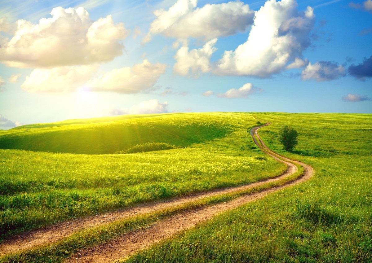 "Я все смогу"