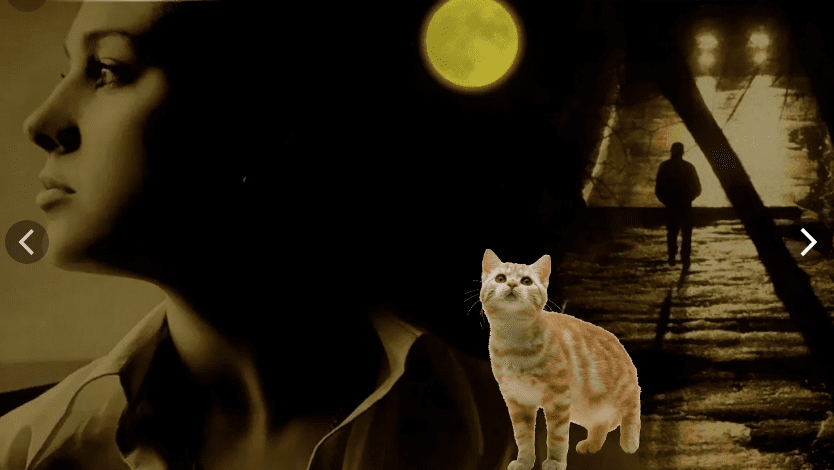 "Много женщин на свете,любивших…" (19.02.2026)