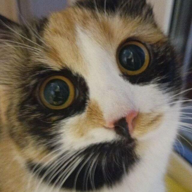 Вечерняя прогулка. 