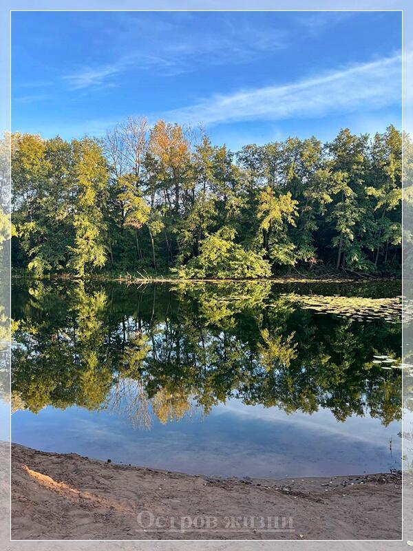 Наследство. Выше забвения