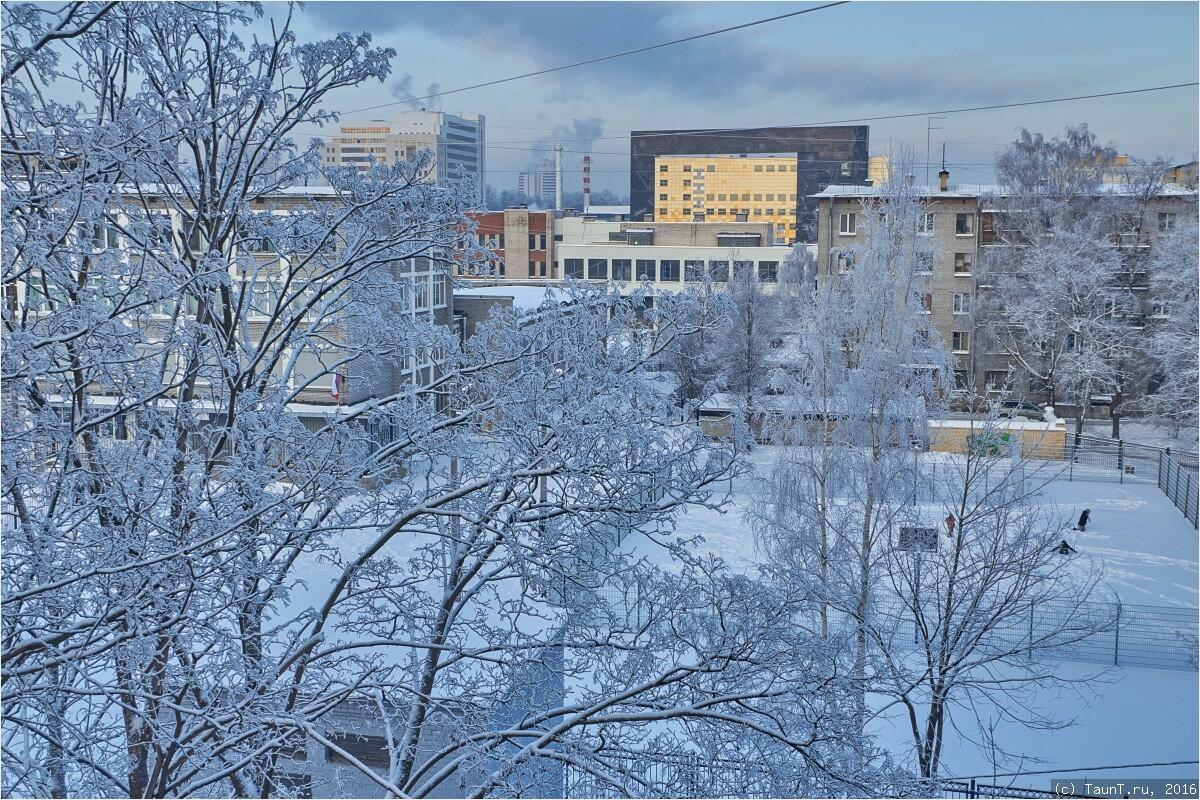Февральская зарисовка