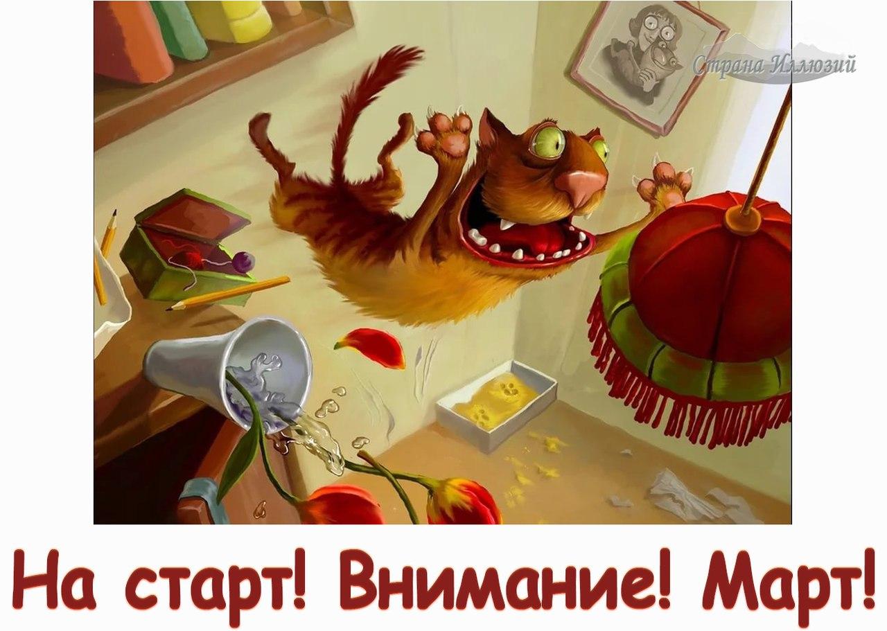 Март бушует (котоматрицы)