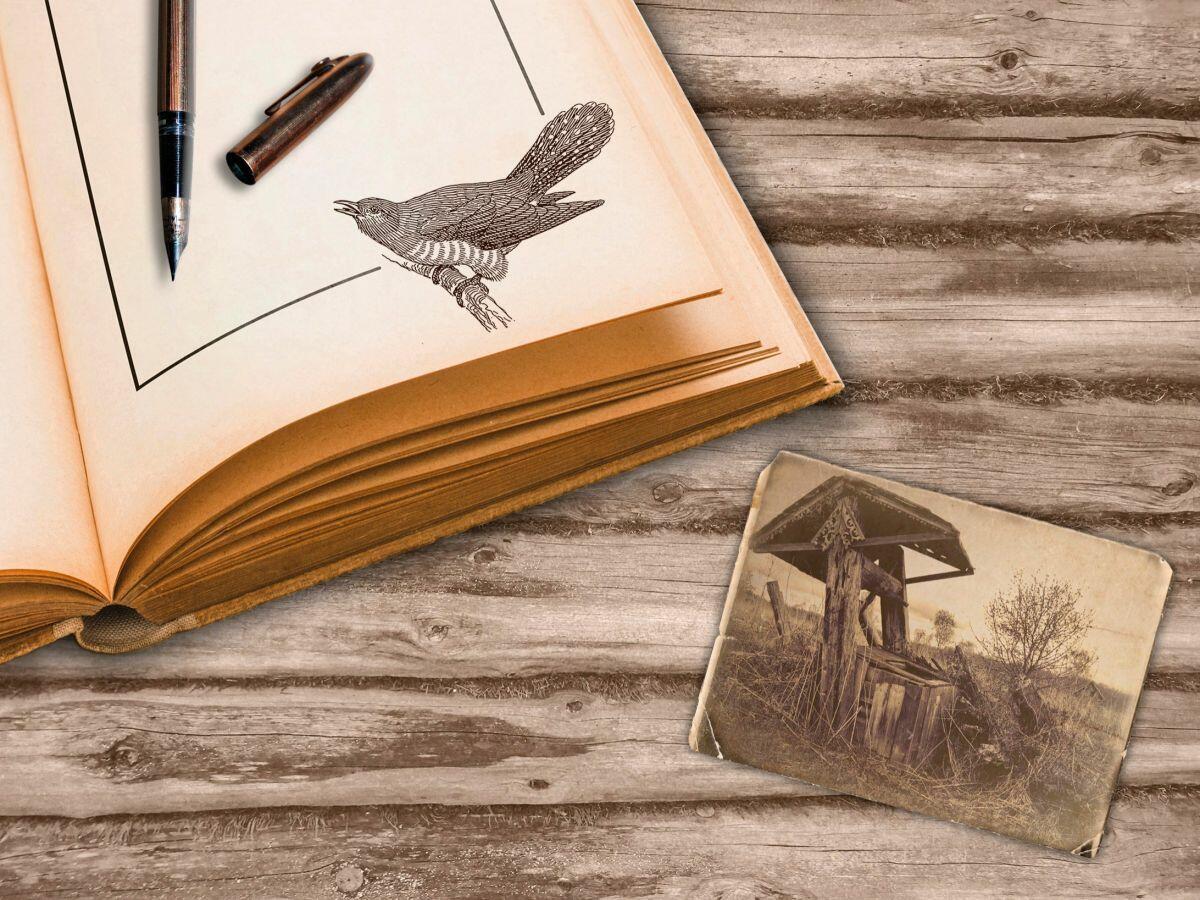 В прогнивших срубах деревень