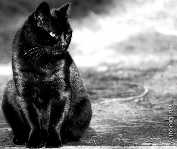 Бабушка Яга