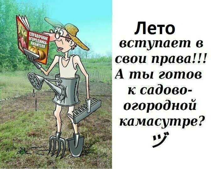 Что знаешь ты про Камасутру?