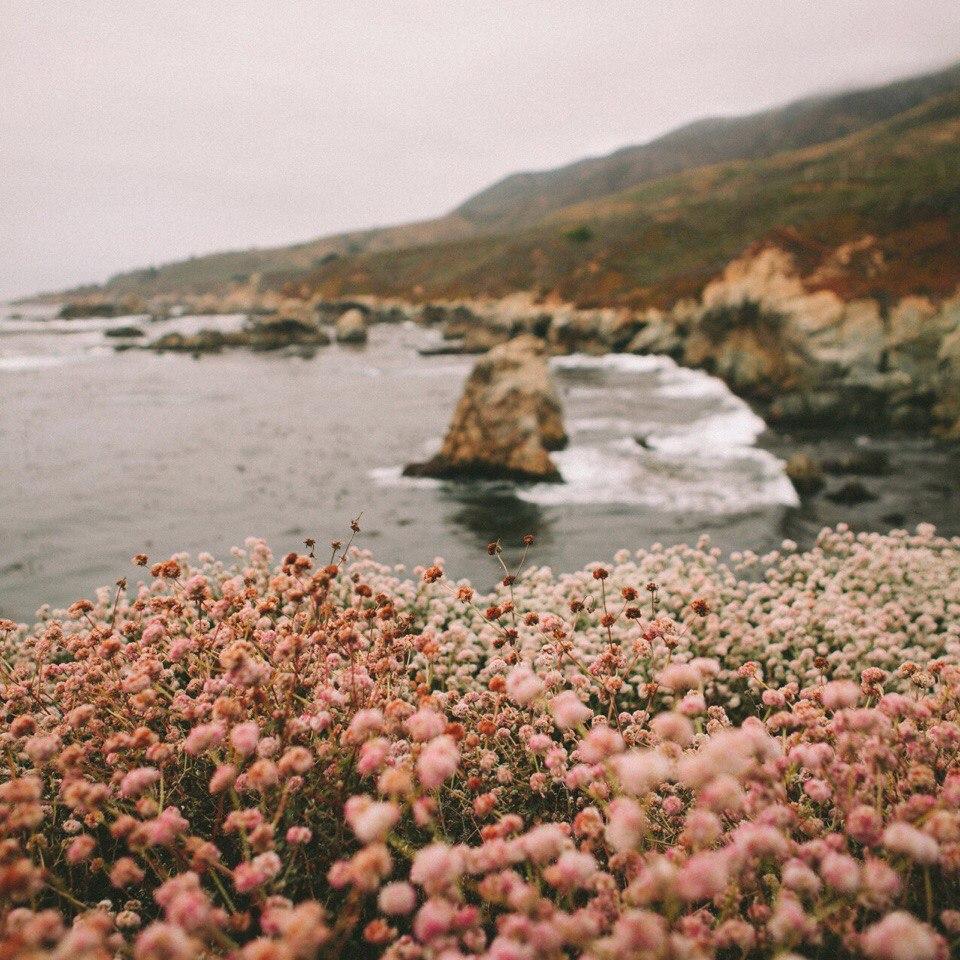 С тобой мы уйдем в никуда...