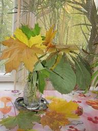 Лист каштана