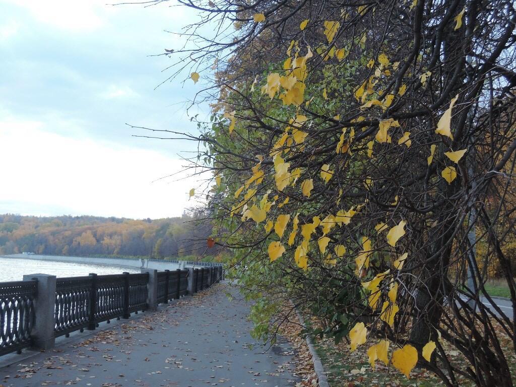 Ещё немного выпало тепла...