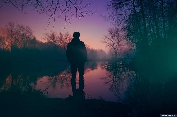 "Философу" (посвящается) (10.06.2016)