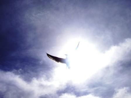 Растворяюсь я