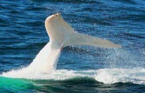 В следующей жизни