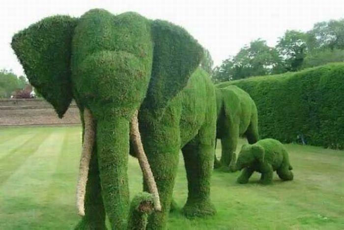 ЗЕЛЁНЫЕ СЛОНЫ (Песня-экспромт к фото)