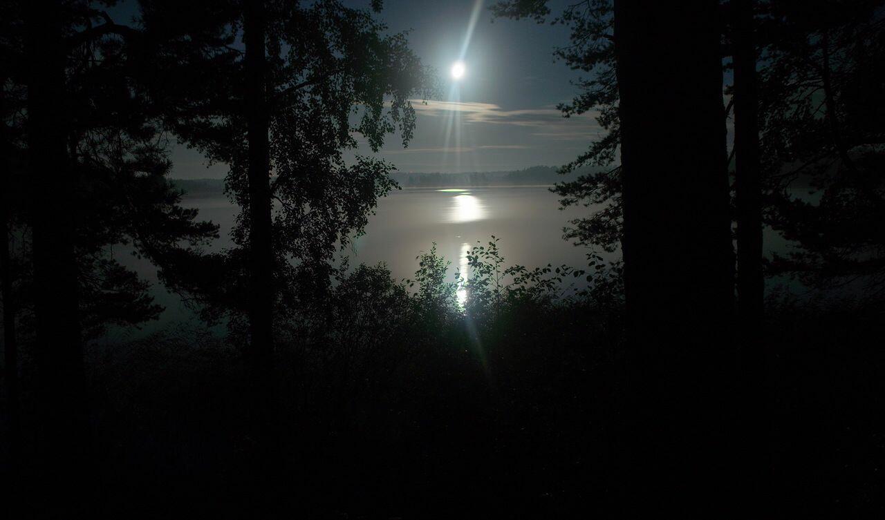Тишина ли ночная. Летняя ночь. Ночной пейзаж. Лунная ночь в лесу. Летняя ночь в лесу.