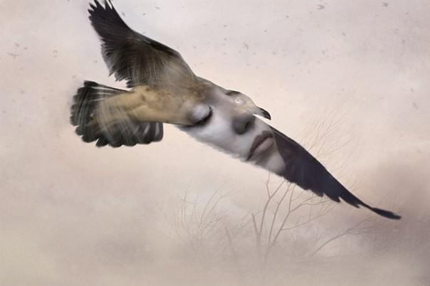 Взлетел бы свободной птицей ввысь.