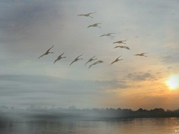 "10 сентября. Календарь от Мамонта". Сентябрьский декатлон