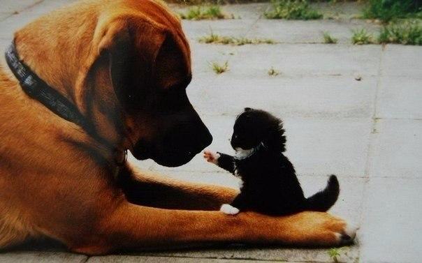 Вот это вам точно понравится!