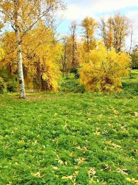 Я осени признаюсь вновь в любви