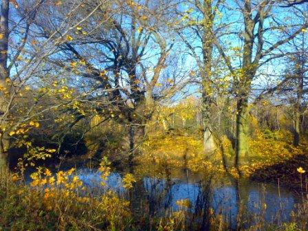 "Бабье лето"