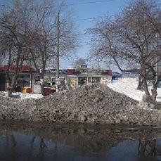 Весна стыдила Зиму...