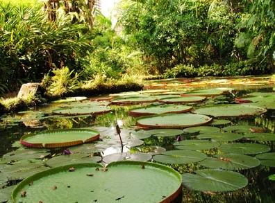 *Не грущу о тебе, и не плакаю*