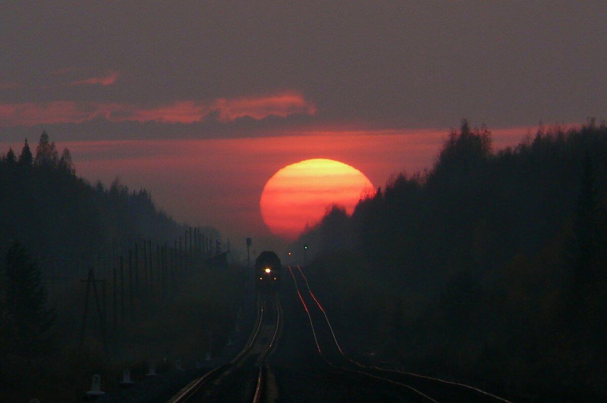 Дорога домой. Автор стихов Надежда Жукова. Музыка и исполнение Николай Саллас