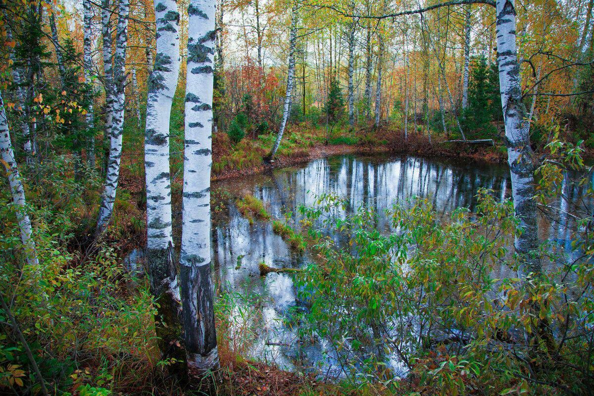 Уснёшь, берёзовая Русь - под песню на слова Есенина