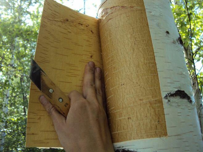 Голубиная книга