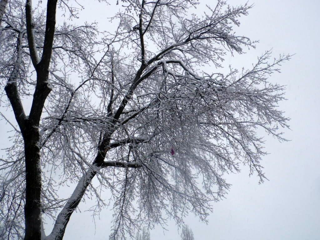Апрельский снег.