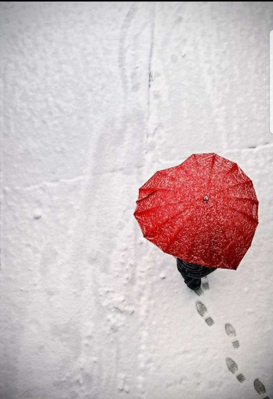 Прости меня, зима...