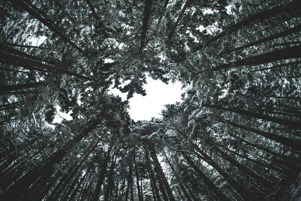 Я грозы не люблю ужасно!..