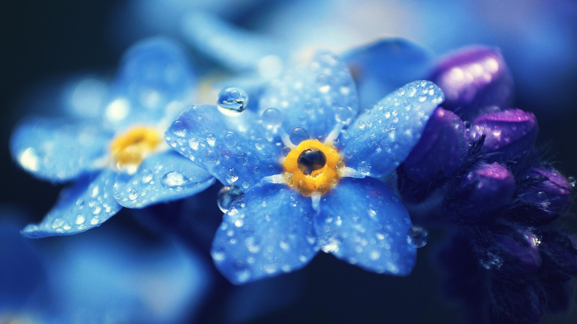 Цвета радуги - голубой