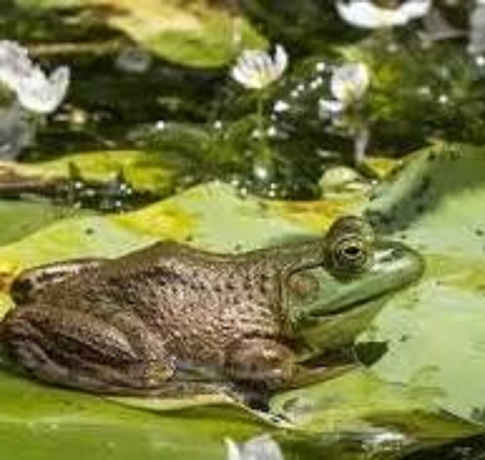 СТИХИ ДЕТЯМ_85