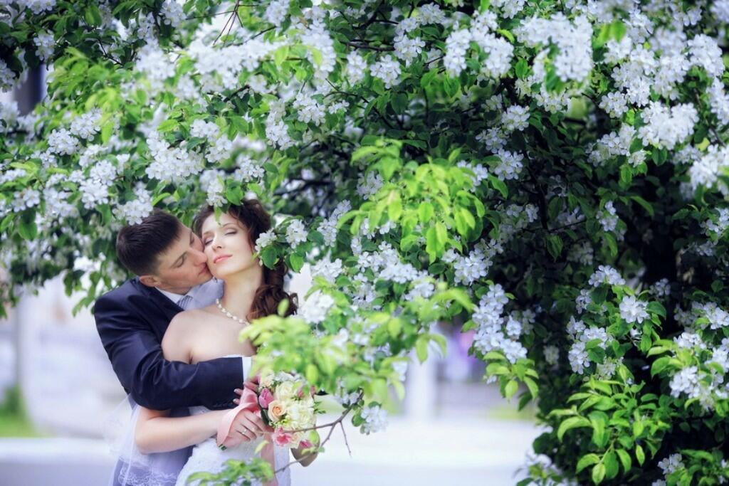 Черёмуха Душистая