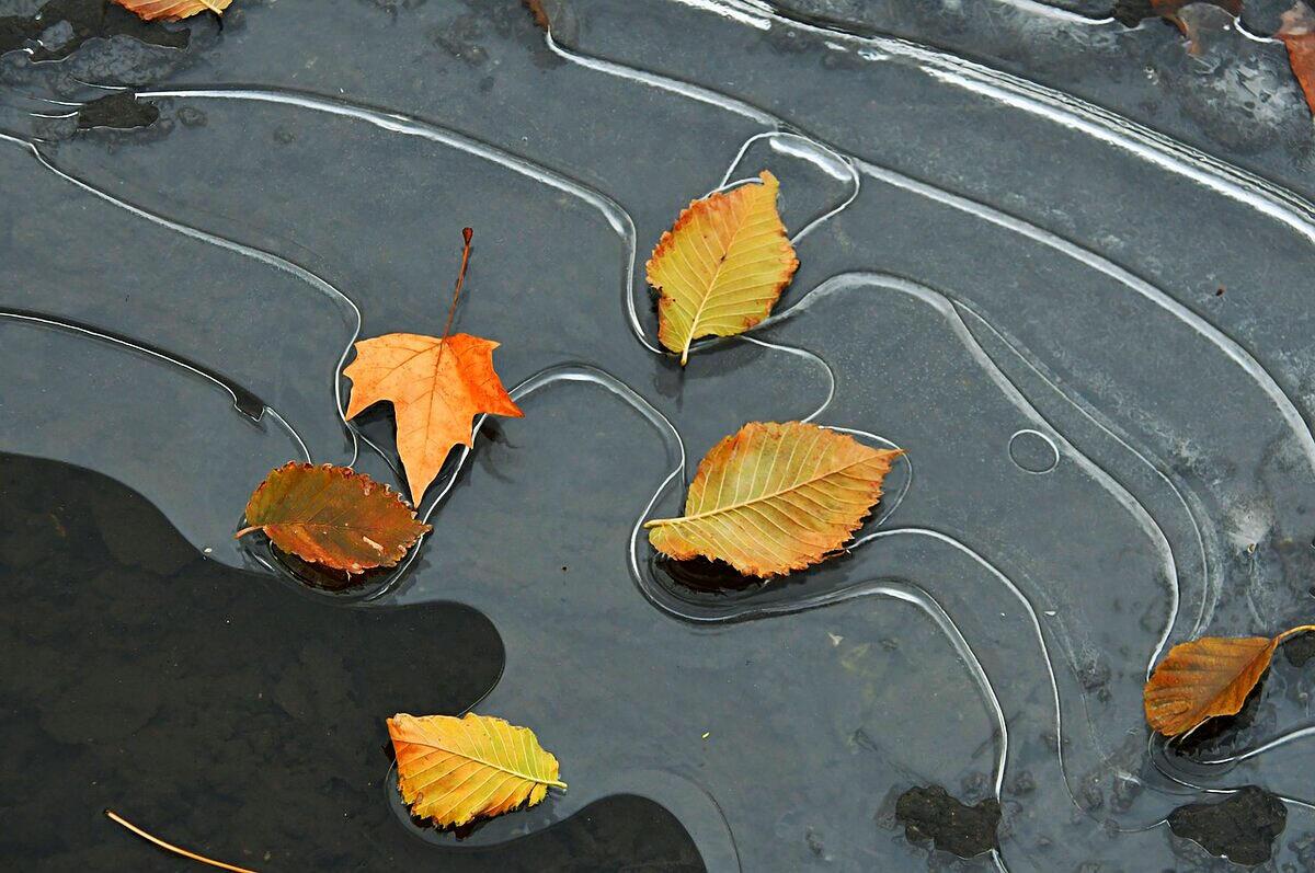 Унесённые ветром